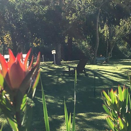 Bed and breakfast Constantia Spring Extérieur photo
