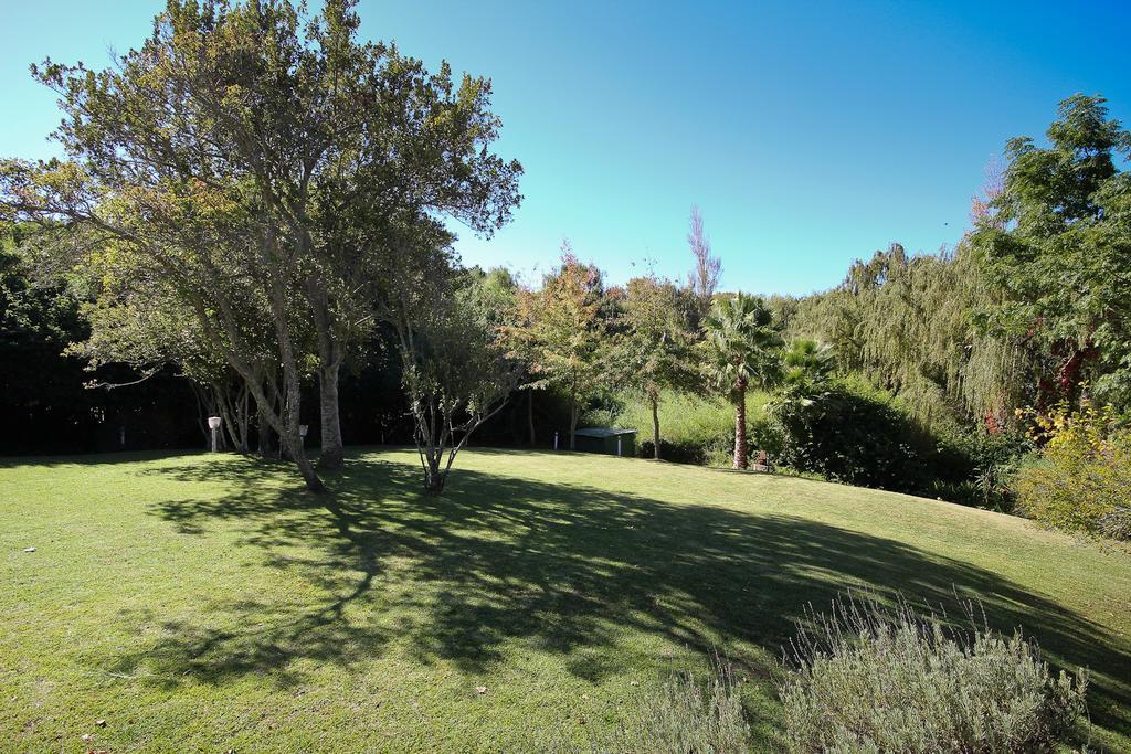 Bed and breakfast Constantia Spring Extérieur photo