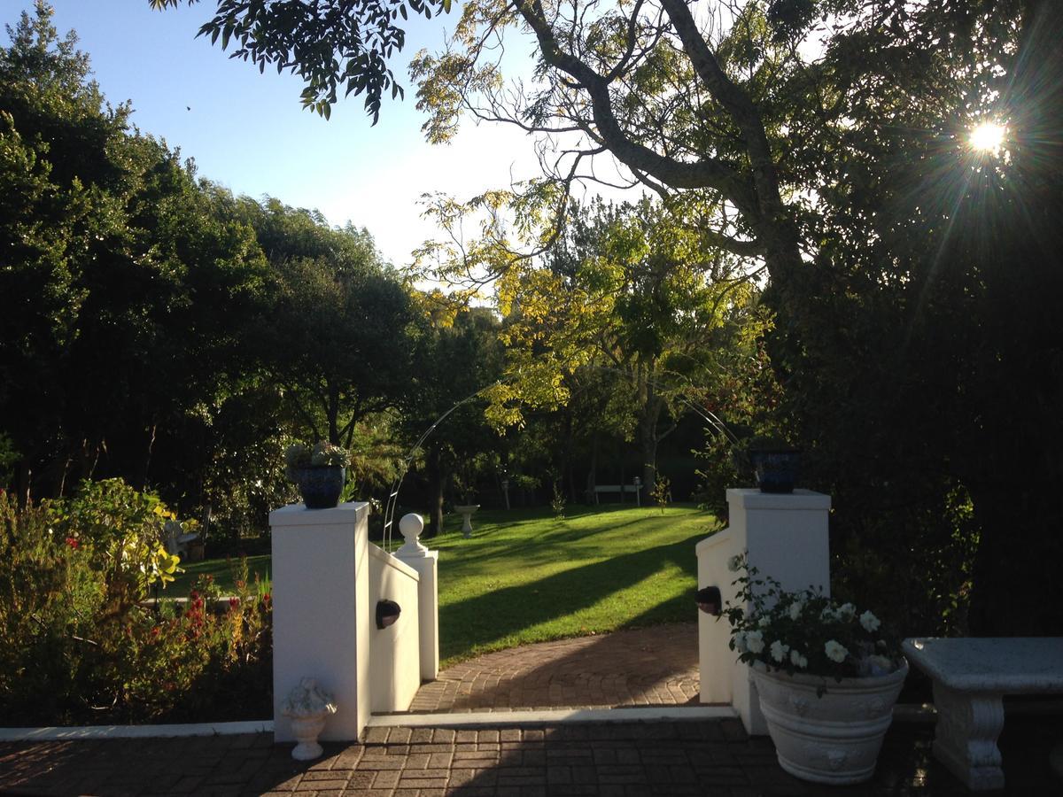 Bed and breakfast Constantia Spring Extérieur photo