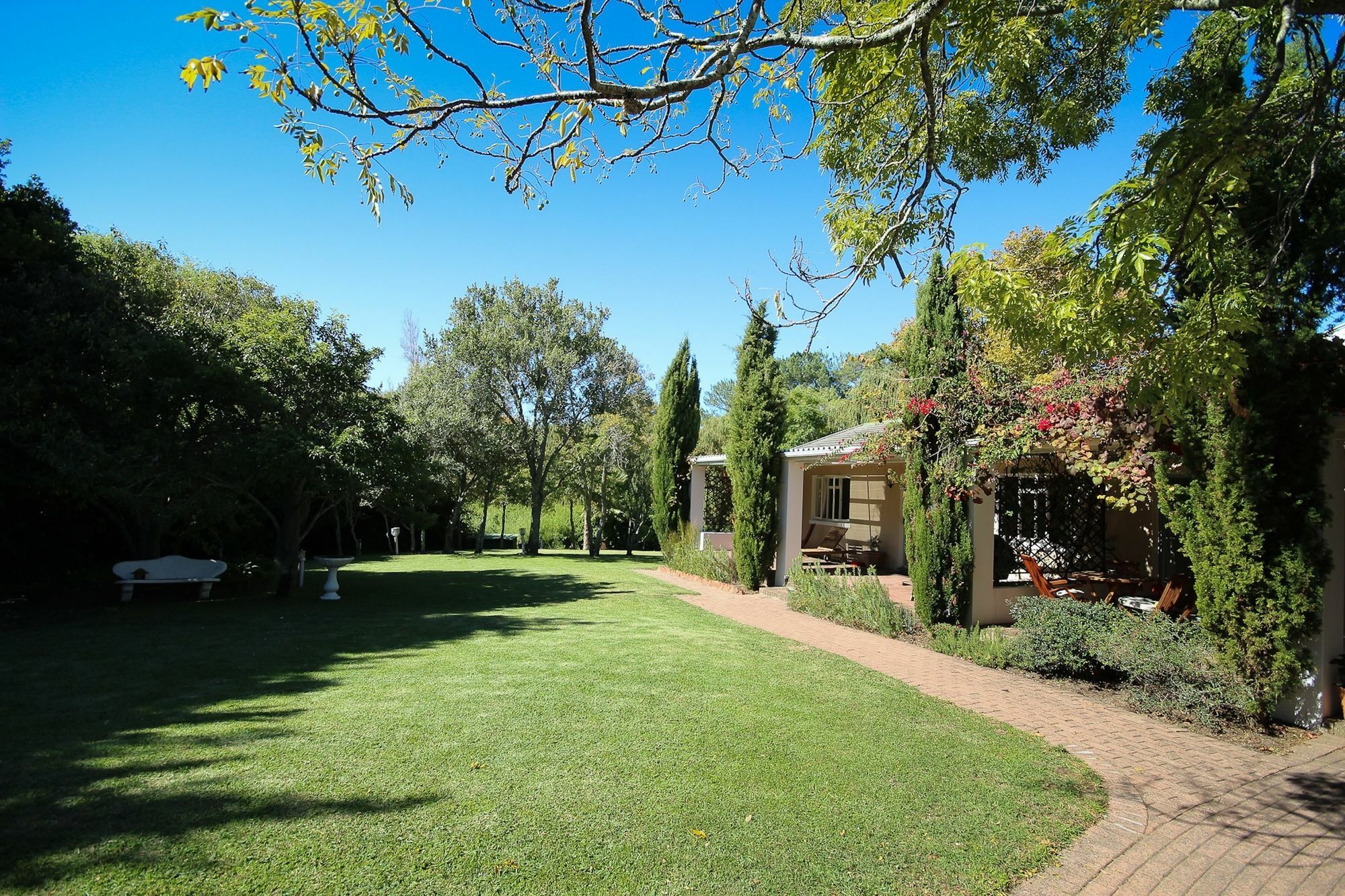 Bed and breakfast Constantia Spring Extérieur photo