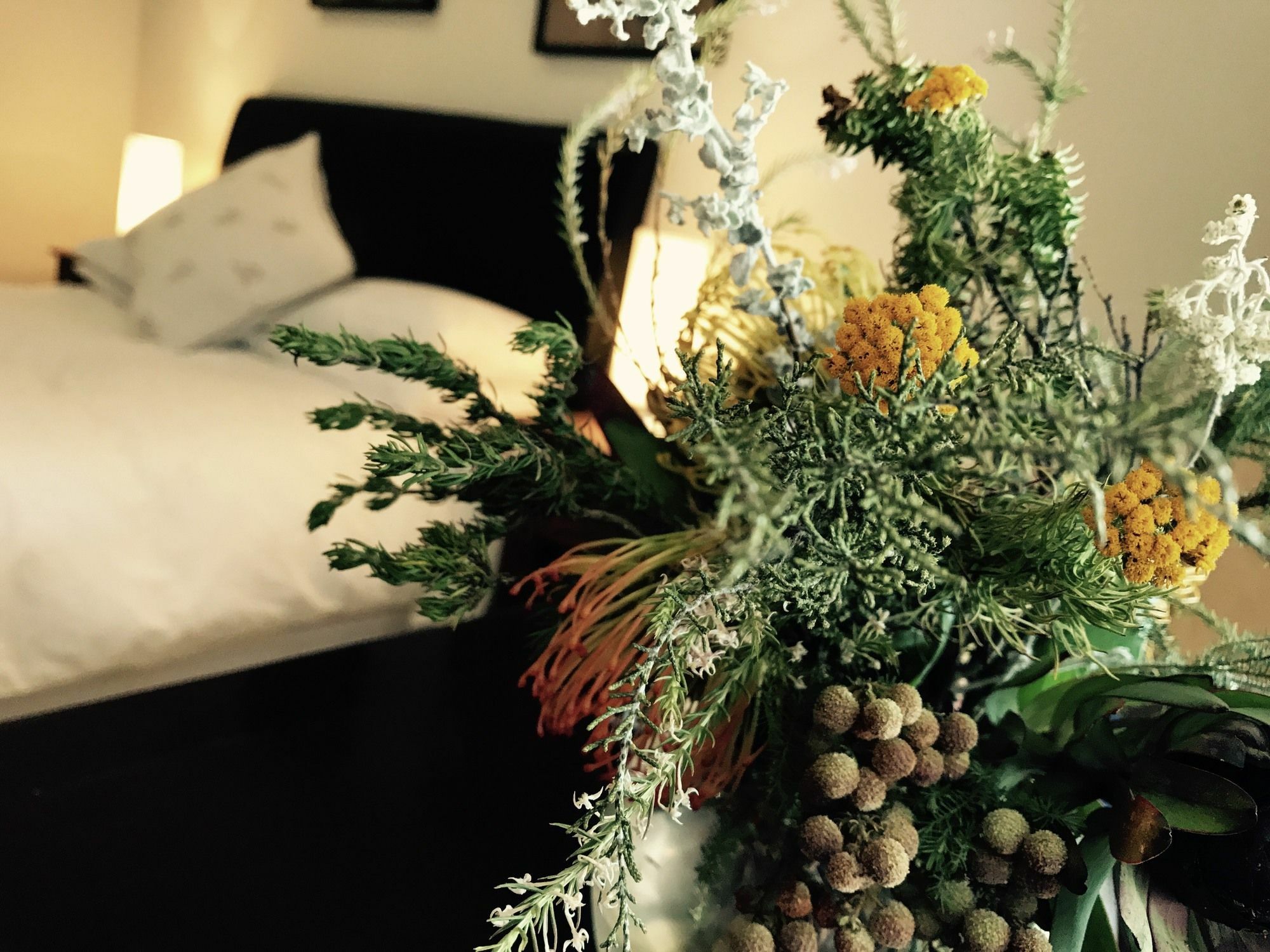 Bed and breakfast Constantia Spring Extérieur photo